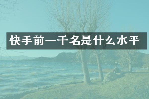 快手前一千名是什么水平