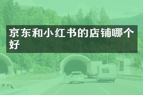 京东和小红书的店铺哪个好