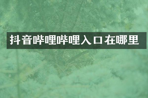 抖音哔哩哔哩入口在哪里