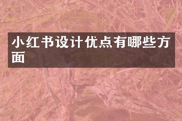 小红书设计优点有哪些方面