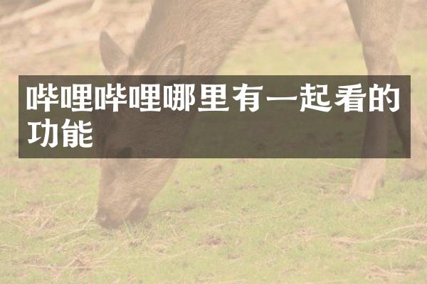 哔哩哔哩哪里有一起看的功能