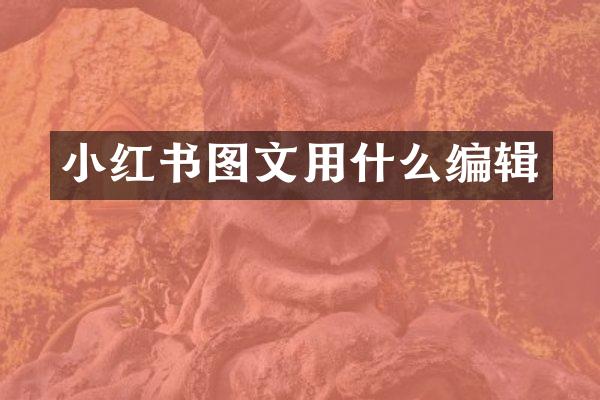 小红书图文用什么编辑