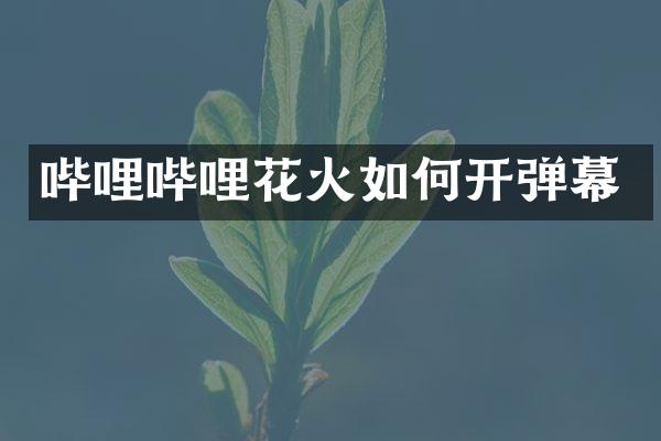 哔哩哔哩花火如何开弹幕