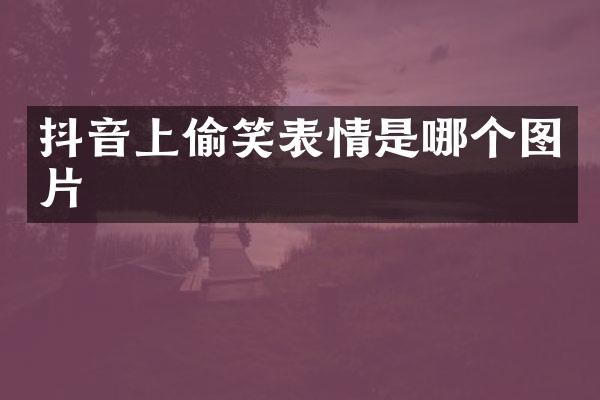 抖音上偷笑表情是哪个图片