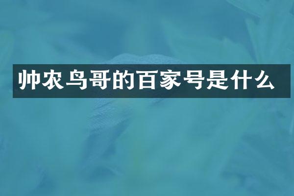 帅农鸟哥的百家号是什么