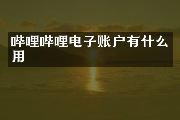 哔哩哔哩电子账户有什么用