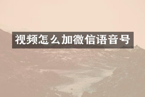 视频怎么加微信语音号