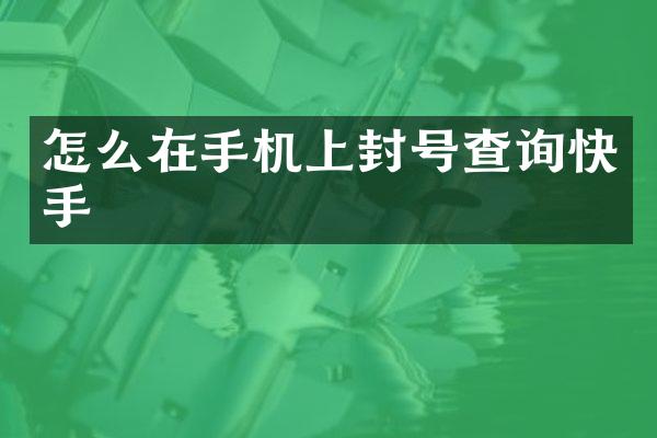 怎么在手机上封号查询快手