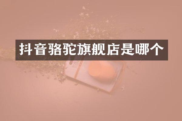 抖音骆驼旗舰店是哪个