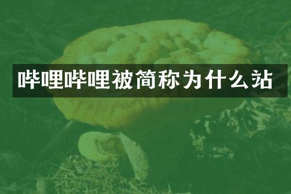 哔哩哔哩被简称为什么站