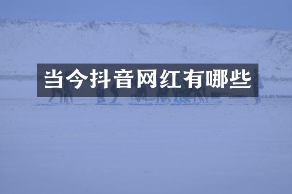 当今抖音网红有哪些