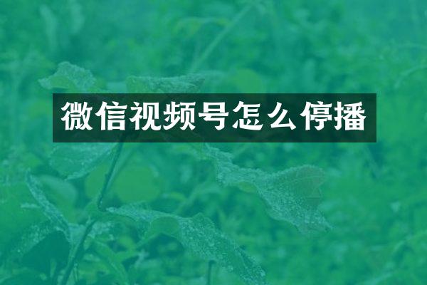 微信视频号怎么停播
