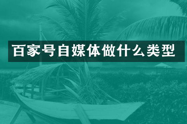 百家号自媒体做什么类型