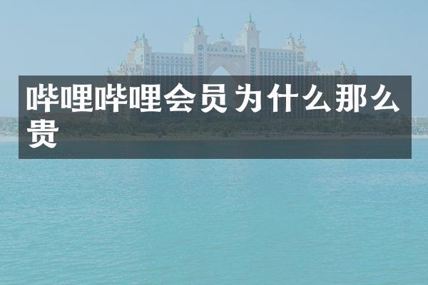 哔哩哔哩会员为什么那么贵