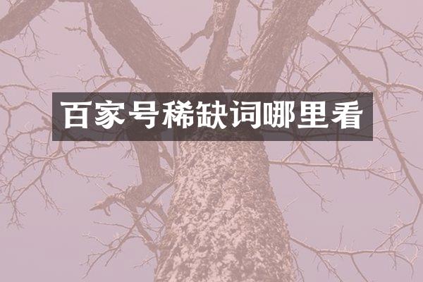 百家号稀缺词哪里看