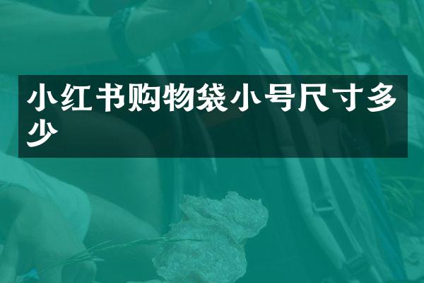 小红书购物袋小号尺寸多少