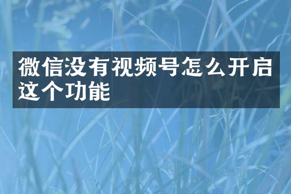 微信没有视频号怎么开启这个功能