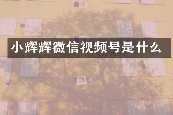 小辉辉微信视频号是什么