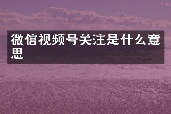 微信视频号关注是什么意思