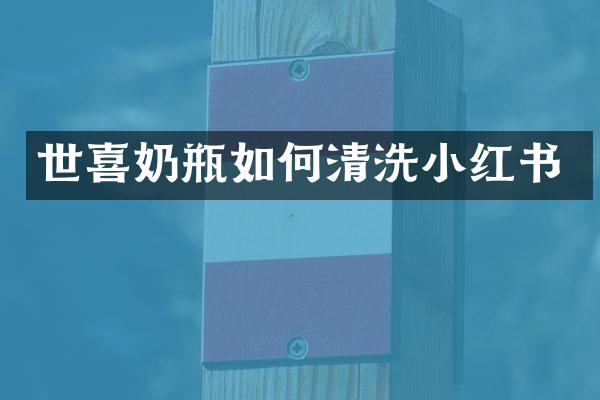 世喜奶瓶如何清洗小红书