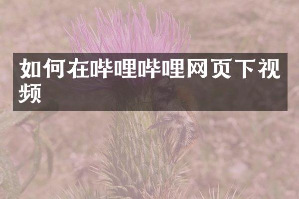 如何在哔哩哔哩网页下视频