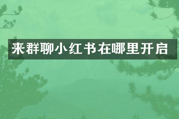 来群聊小红书在哪里开启