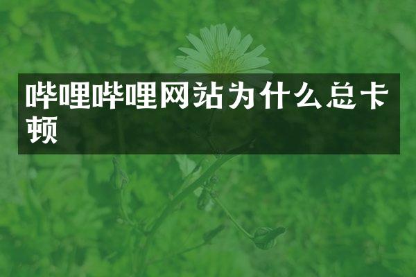 哔哩哔哩网站为什么总卡顿