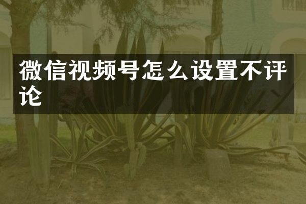 微信视频号怎么设置不评论