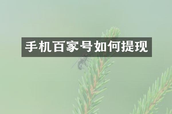 手机百家号如何提现