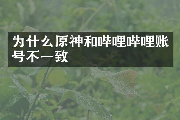 为什么原神和哔哩哔哩账号不一致