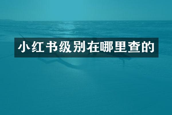 小红书级别在哪里查的