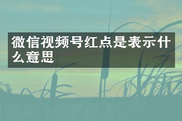 微信视频号红点是表示什么意思