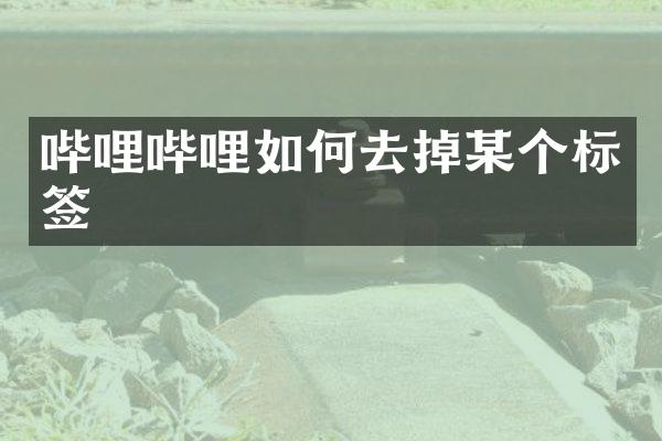 哔哩哔哩如何去掉某个标签