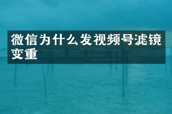 微信为什么发视频号滤镜变重