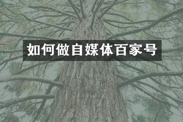 如何做自媒体百家号