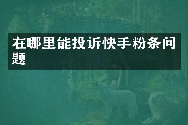 在哪里能投诉快手粉条问题