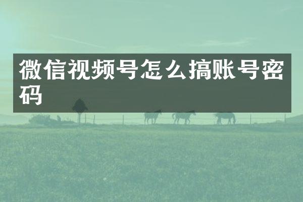 微信视频号怎么搞账号密码