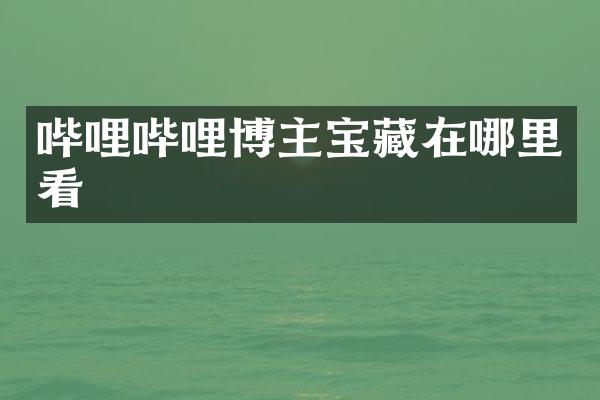 哔哩哔哩博主宝藏在哪里看