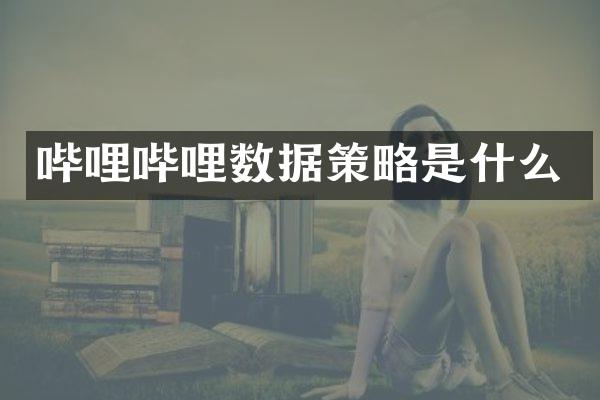 哔哩哔哩数据策略是什么