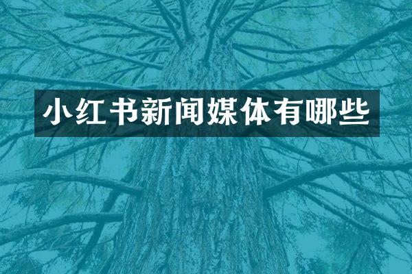 小红书新闻媒体有哪些