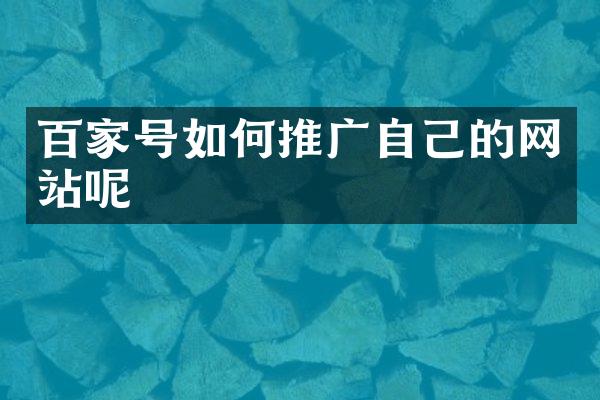 百家号如何推广自己的网站呢