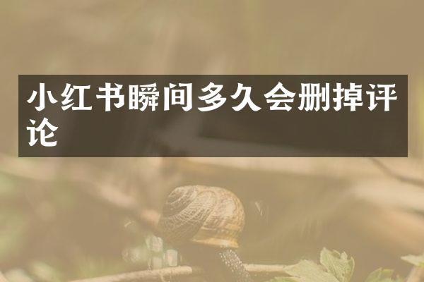 小红书瞬间多久会删掉评论