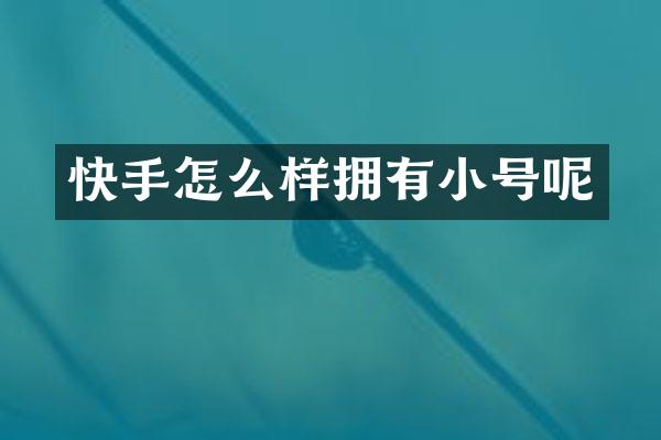 快手怎么样拥有小号呢