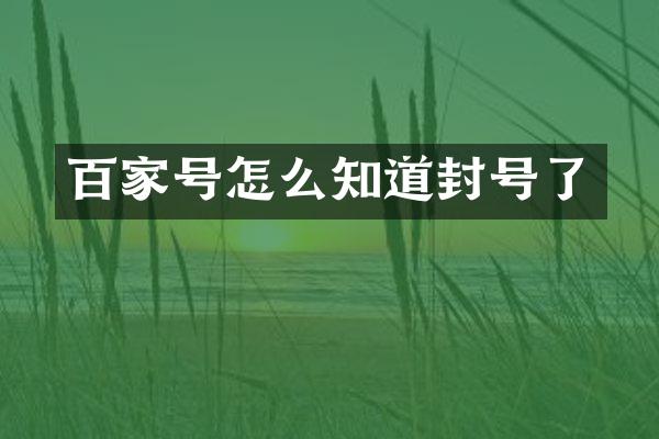 百家号怎么知道封号了
