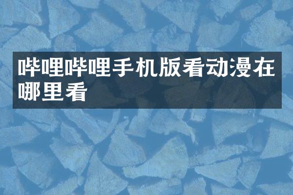 哔哩哔哩手机版看动漫在哪里看