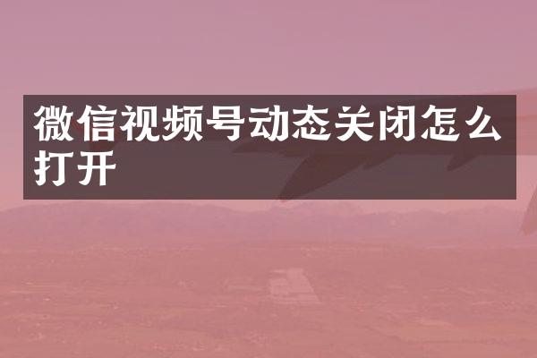 微信视频号动态关闭怎么打开