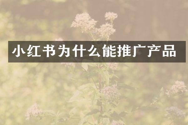 小红书为什么能推广产品