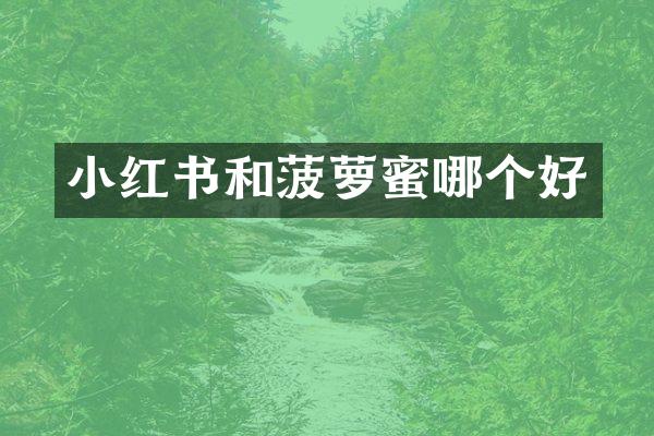 小红书和菠萝蜜哪个好