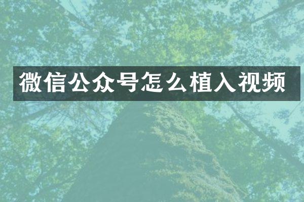 微信公众号怎么植入视频