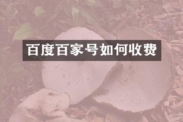 百度百家号如何收费